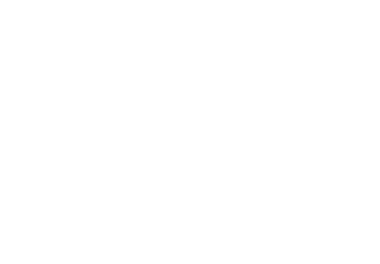 What If... ...we had a way to test out theoretical scenarios before investing in change? Valpak’s What If service app...