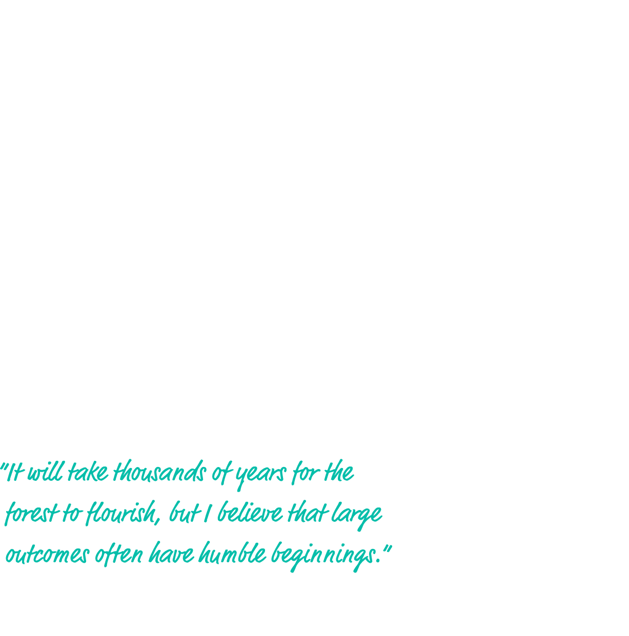 Heart of England Forest tree planting 28 Valpak staff spent the day planting trees for the Heart of England Forest ch...