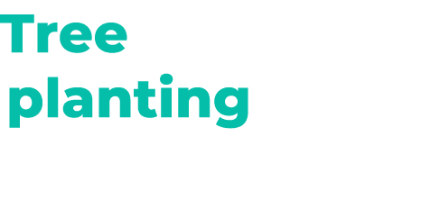Tree planting